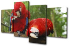 Parrot Bird Paradise Animals MULTI CANVAS WALL ART Picture Print