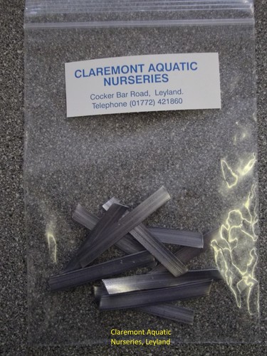Lead weights suitable for - 10,