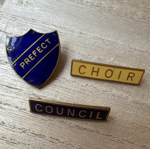 School university enamel pin - school/university,