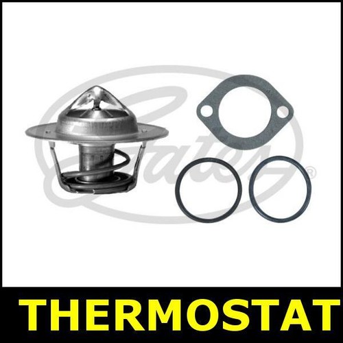 Thermostat fits reliant kitten - reliant,