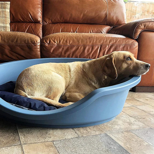 Rosewood ecoline dog - dog, bed