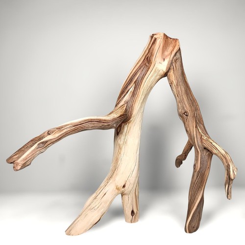 Manzanita driftwood - 19.25",