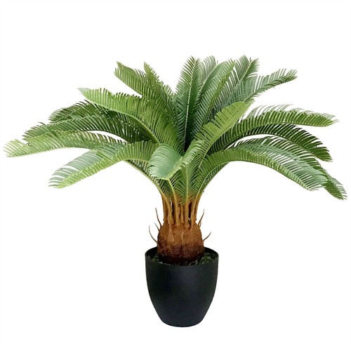 Artificial tropical cycas palm - artificial,