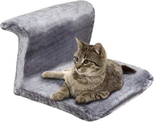 New cat kitten - kitten, pet