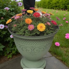 Eden Urn 20cm Planter – Classic Decorative Garden Urn Pot – Single or Pack of 2