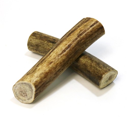 Whole deer antler medium - whole,
