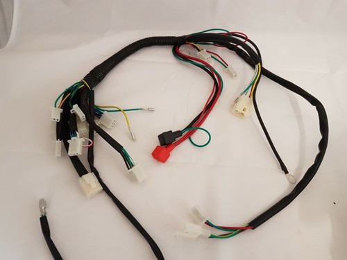 Wir34 complete wiring loom - wir34,