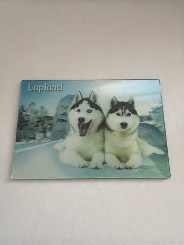 Lapland husky souvenir fridge - lapland,