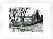 (5945) White Abbey Linton In