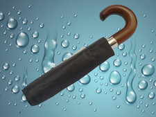 Totes Eco Wood Crook handle