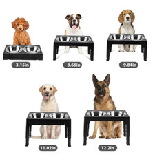Large Dog Feeding Station with