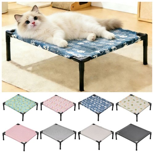 Pet dog cat - pet,