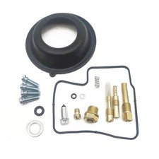 Carburetor Repair Kit with