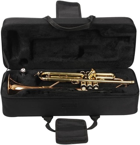 Trumpet storage box - ,