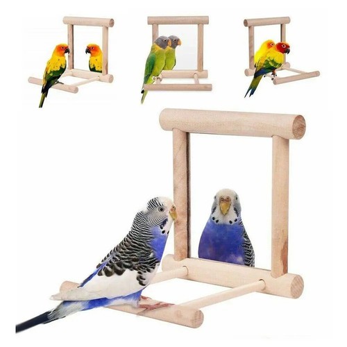 Wooden bird mirror interactive - mirror,