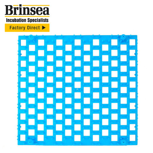 Brinsea quail egg tray - egg, all