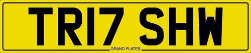 Trish number plate tr17 shw - number,