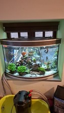 190 Iitre large aquarium fish tank used and External Tetra EX700 Filter