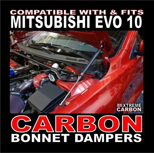 Carbon bonnet dampers lifters - carbon,