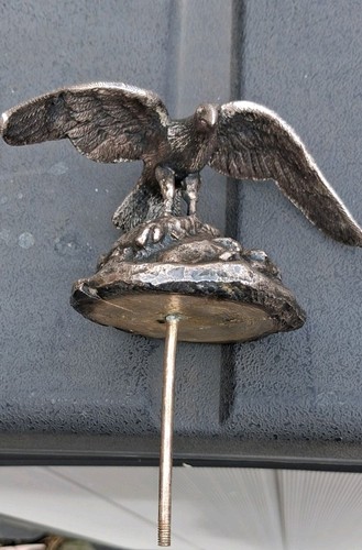 Vintage eagle vulture - vintage,