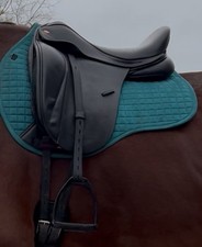 Kent Master 17. 5 Inch High