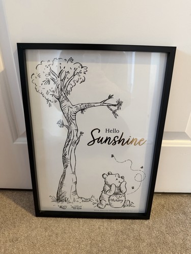 Disney winnie the pooh - winnie,