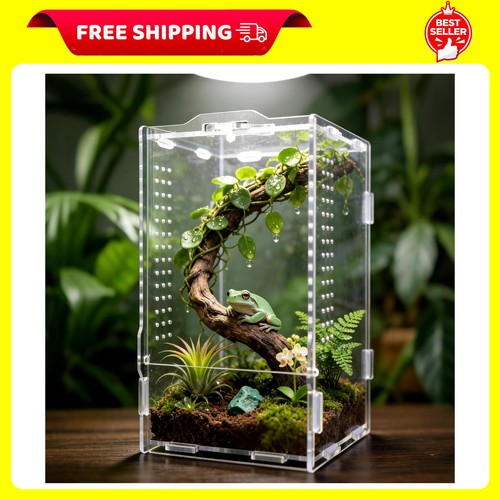 Jumping spider enclosure - jumping,