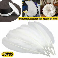 50x Nature Goose Feathers