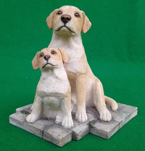 Sherratt simpson labrador - simpson,