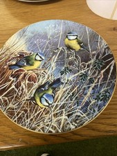 Bone China Coalport Winter Bluetit Frosty Morning Limited Edition By David Feath