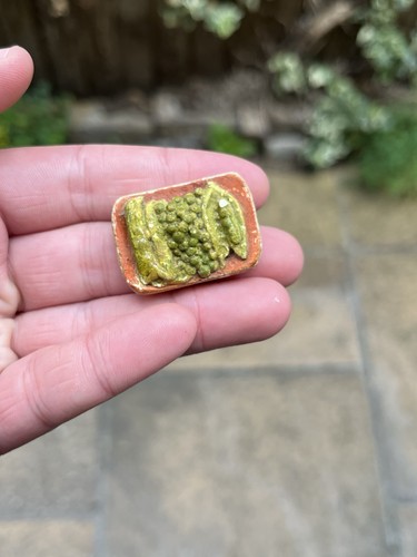 Rare vintage dolls house - rare,