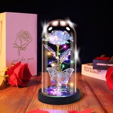 Preserved Flower Rose in Glass Dome Valentine's Day Gift Birthday Women Mum Wife
