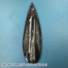 Polished black marble