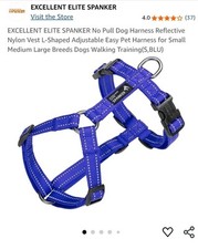 Excellent elite spanker - spanker, no