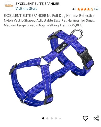 Excellent elite spanker - excellent,