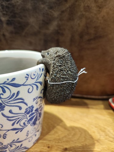 Hedgehog plant pot - plant,