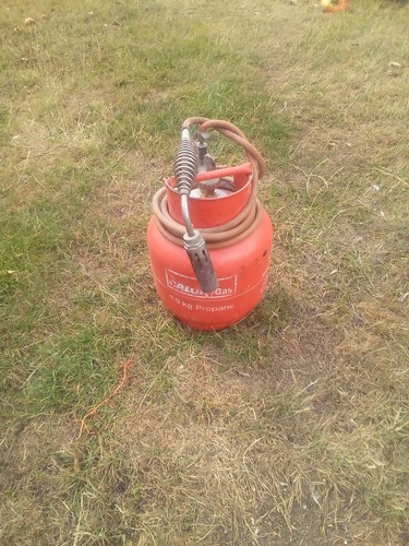 Calor gas bottle and bullfinch - calor,