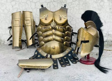 Medieval wearable suit armor