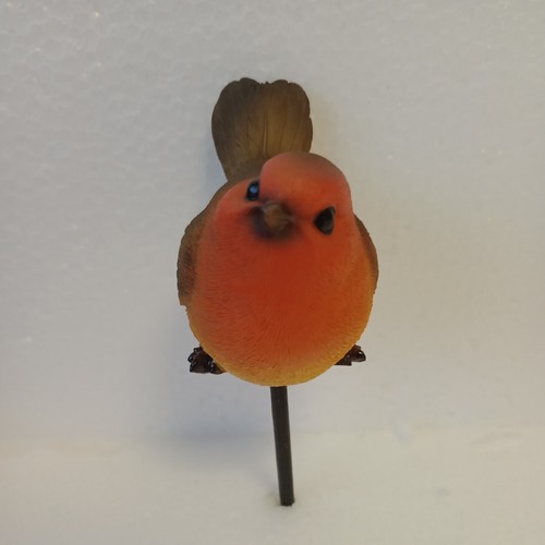 Robin bird plant pal - -,