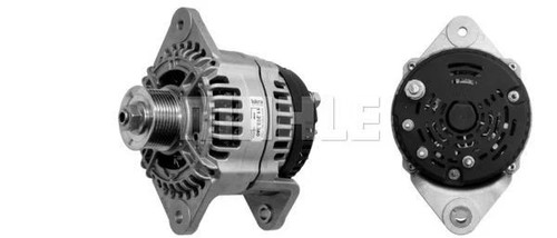 Beta marine domestic - beta,