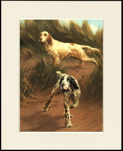 English setter dog art - setter,