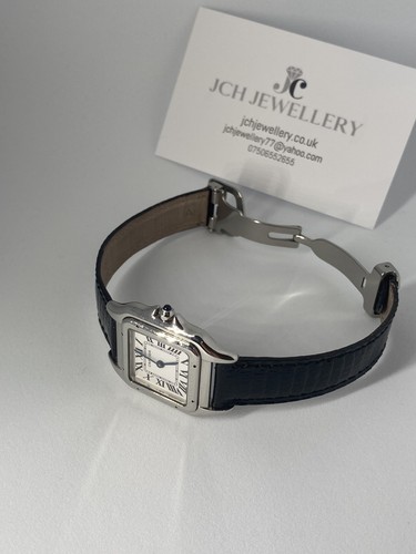 Cartier panther stainless - panther,