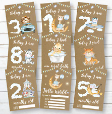 Baby Animal Milestone Cards