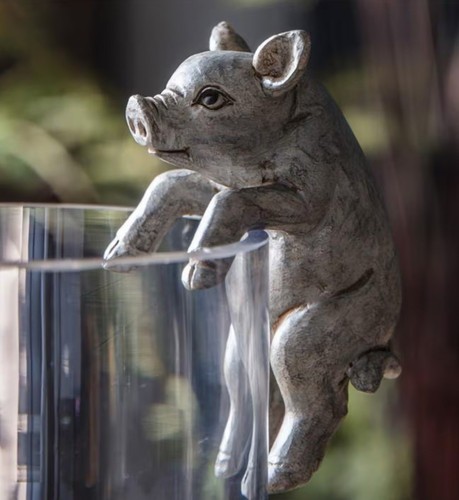 Pig plant pot - pig,