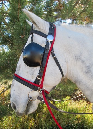 Halter all horse - halter, carriage