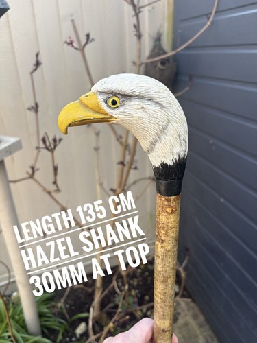Carved eagle hiking stick - hiking,