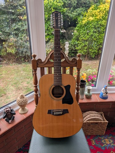 Ibanez series 12 string - v,