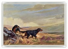 GORDON SETTER DOG FRIDGE