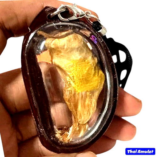 Thai magic cat placenta amulet - thai,