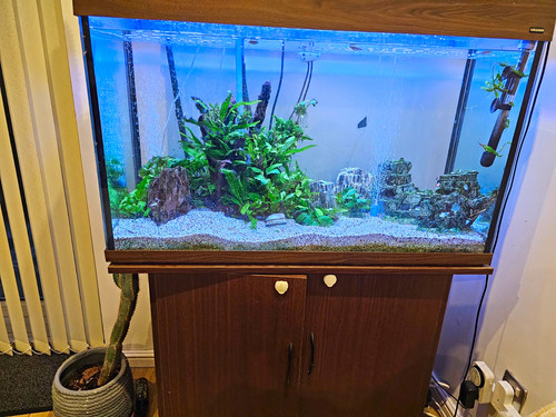 Glass fish tank stand - tank,